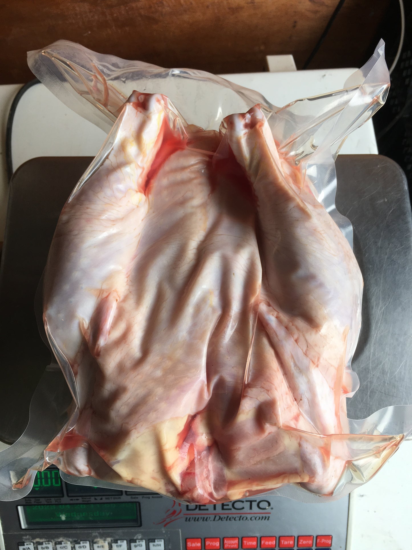 Dirt Parrot Broiler Chicks